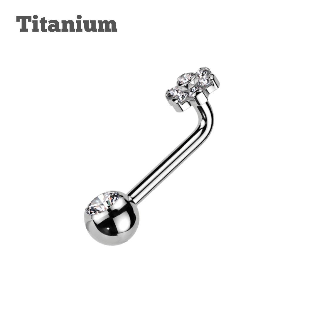 Titanium 4mm Flower Bezeled End Christina Barbell
