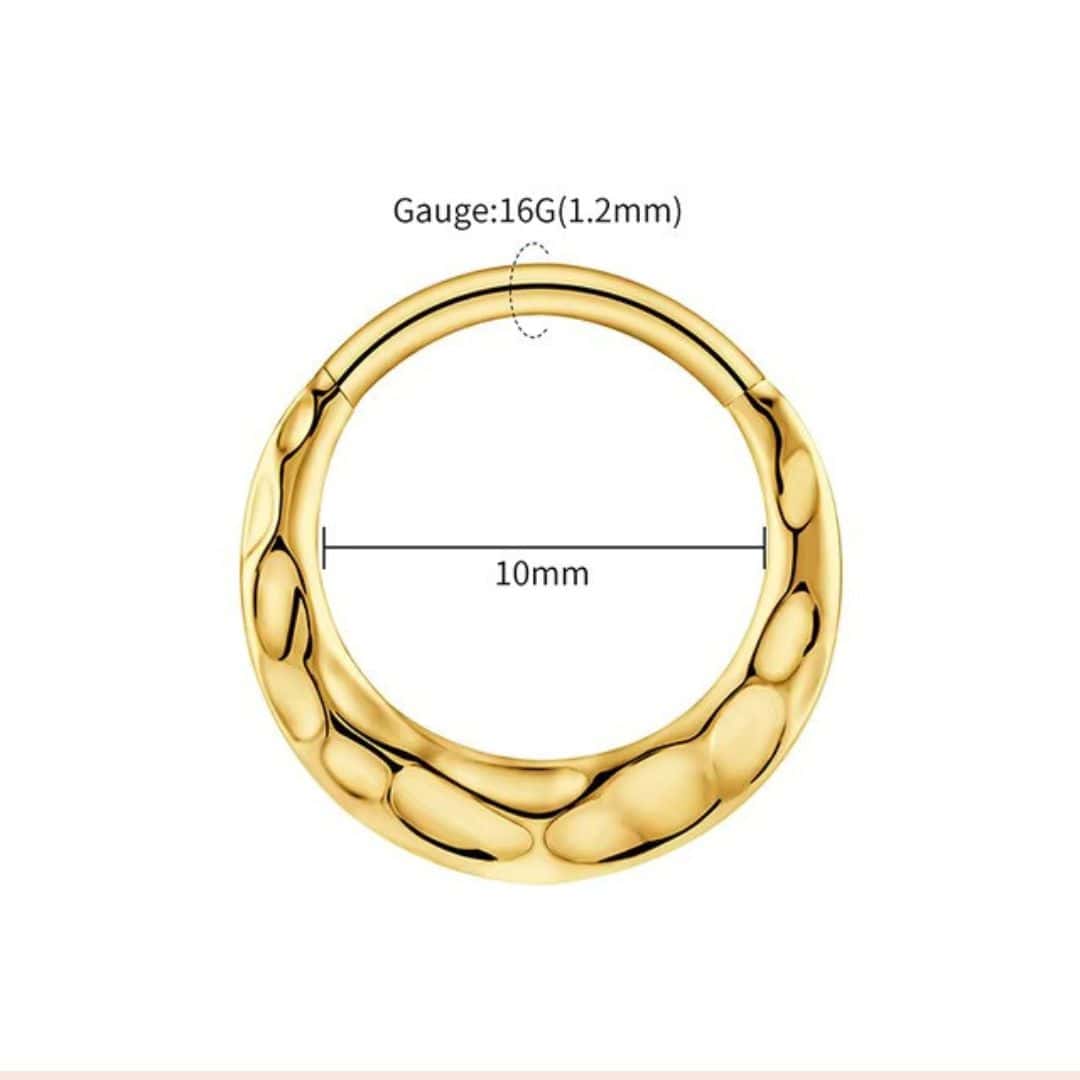 Titanium Hammered Hinged Hoop