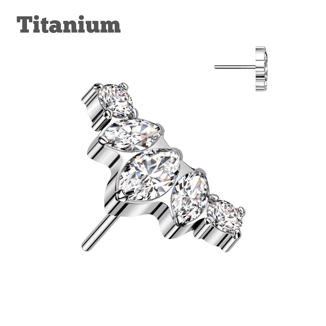 dauphyne titanium threadless top steel color