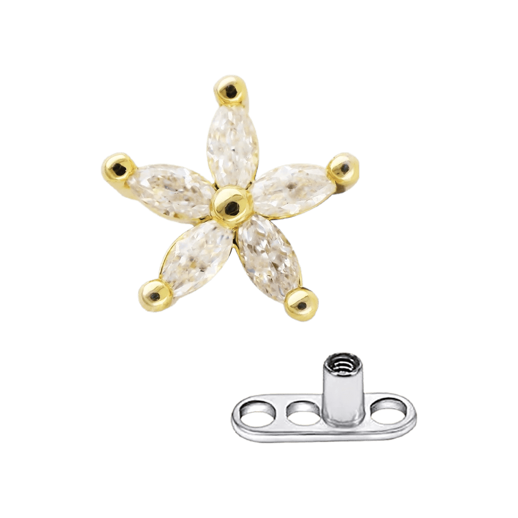 Dermal anchor gold online