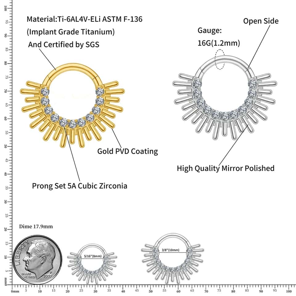 rays of sunshine titanium hinged hoop size