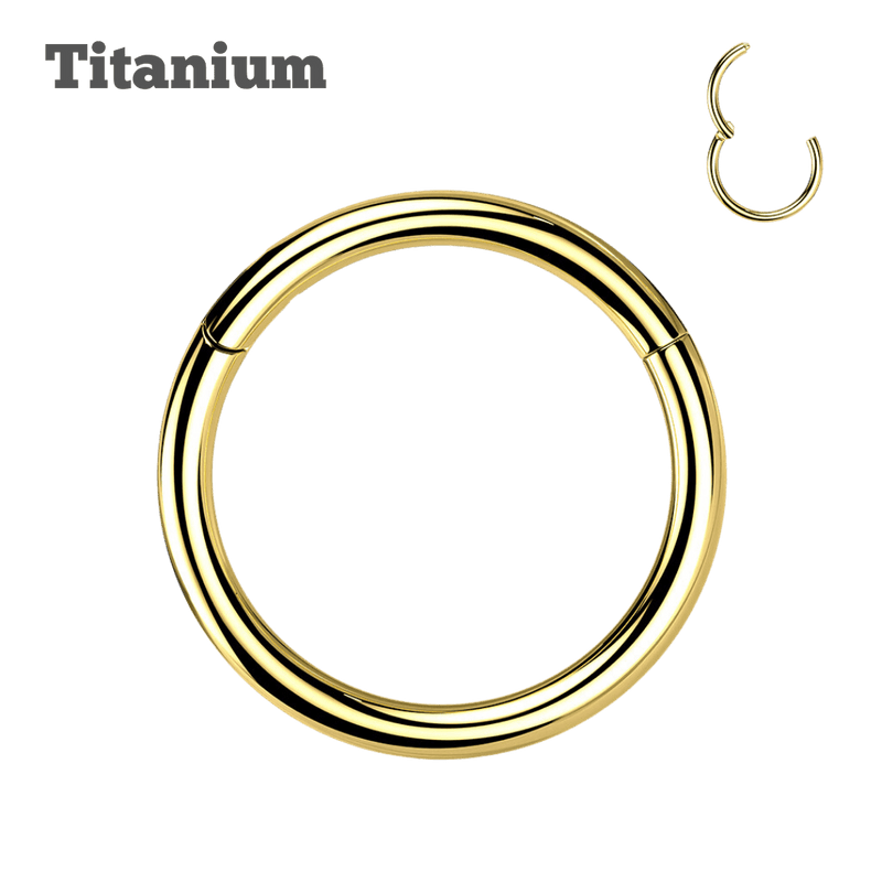 gold color titanium hinged hoop ring type earring