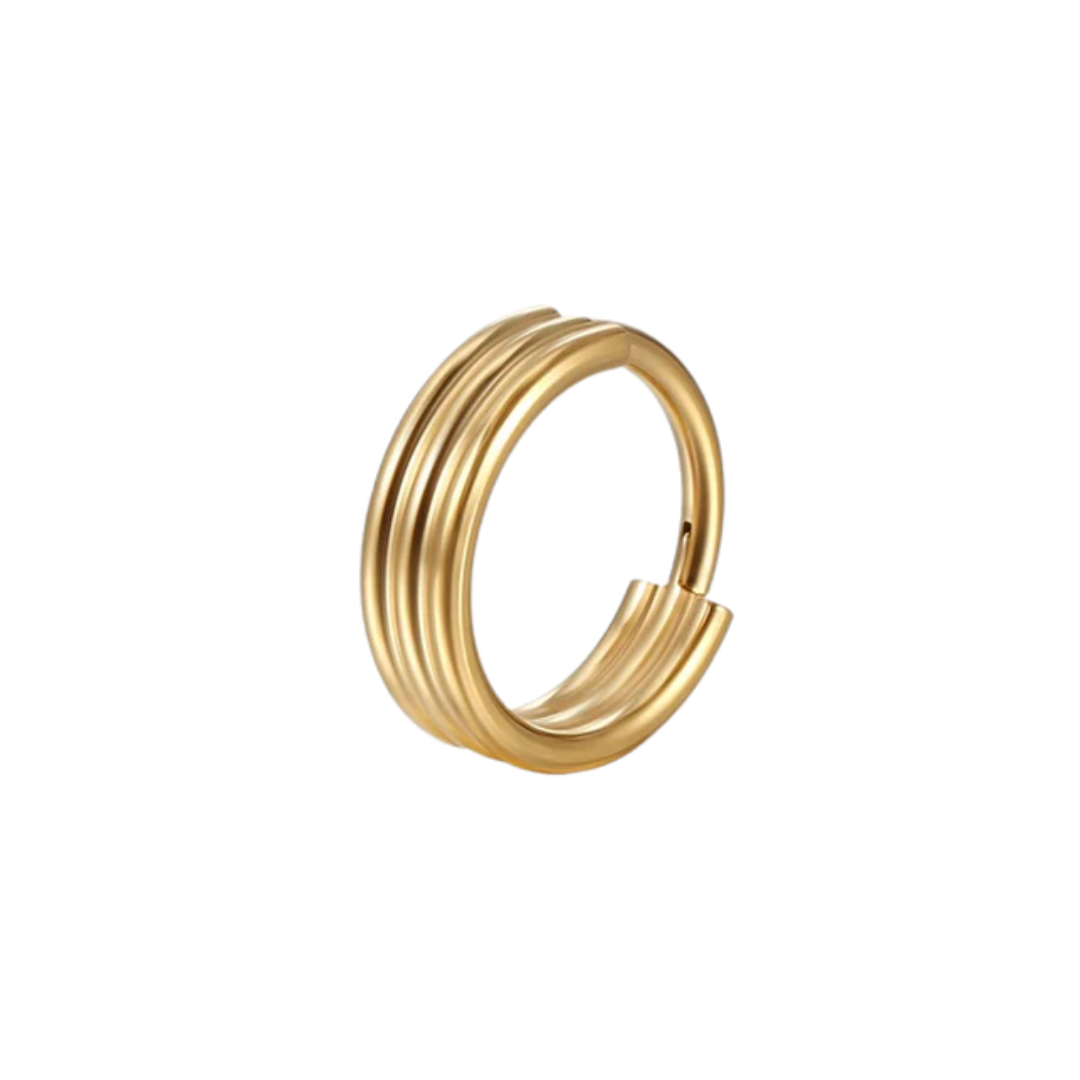 alison hinged hoop ring type gold color