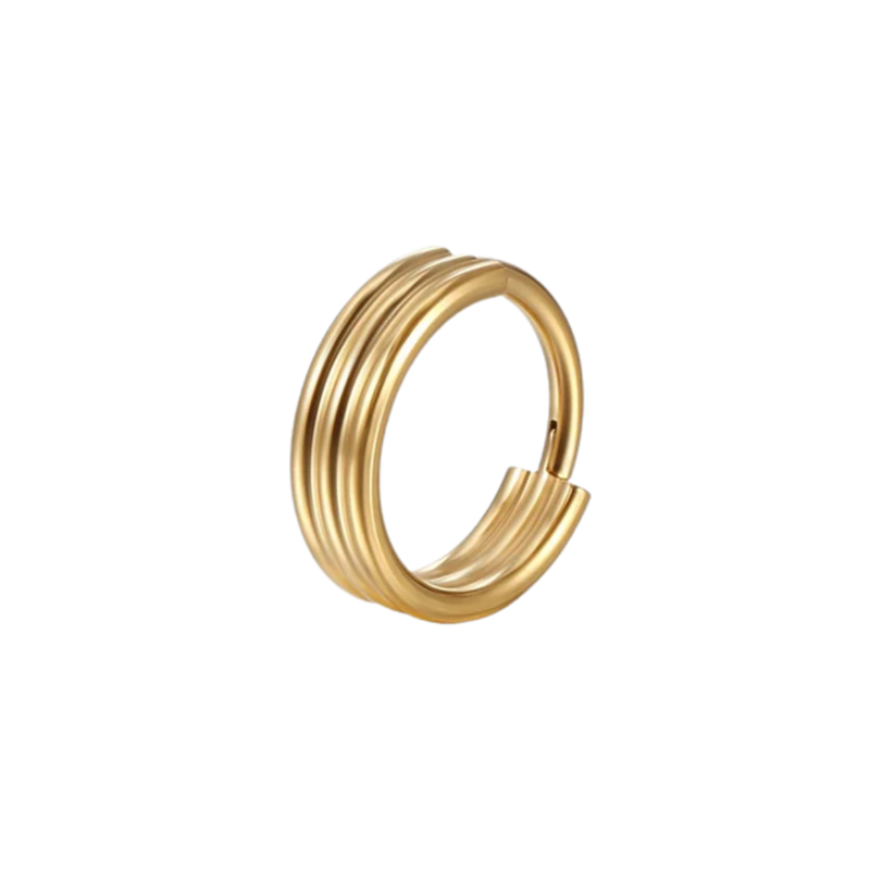 alison hinged hoop ring type gold color