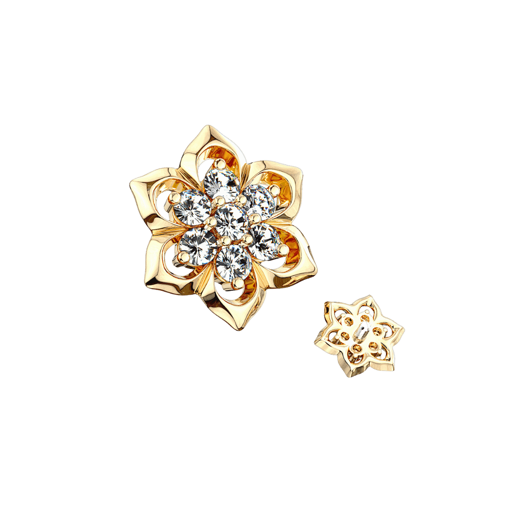 Rose gold dermal top discount